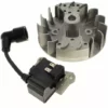 Bobine D'allumage 1e36f-2e.2 + Volant Pour Debroussailleuse Al-ko -Débroussailleuse Soldes Magasin 11728787 1
