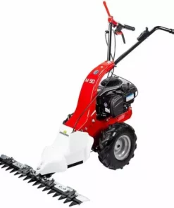 EUROSYSTEMS Motofaucheuse Eurosystem Briggs & Stratton M90 New - -