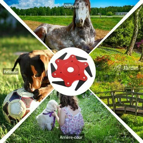 Tete De Coupe Irisfr, 6 Dents, Outil De Mangeur D'Herbe 5 Tete De Coupe Irisfr, 6 Dents, Outil De Mangeur D'Herbe – Image 3