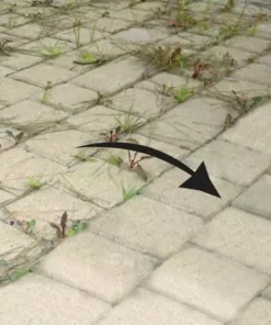 RIBIMEX Brosse Désherbage Métal. Alésage 25,4mm, Diamètre 150mm Avec Adaptations Pour Toute Débroussailleuse 5 RIBIMEX Brosse Désherbage Métal. Alésage 25,4mm, Diamètre 150mm Avec Adaptations Pour Toute Débroussailleuse -Débroussailleuse Soldes Magasin 51502614 2