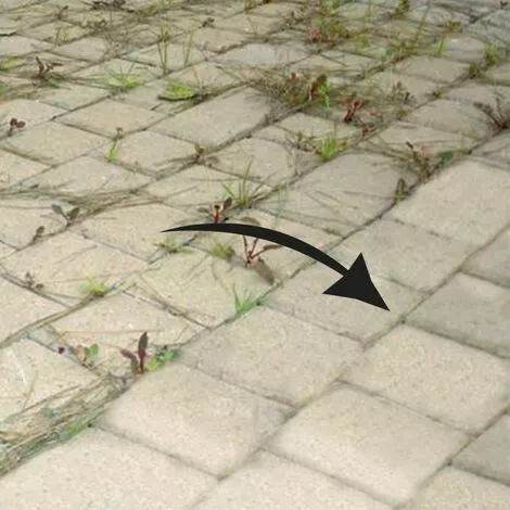 RIBIMEX Brosse Désherbage Métal. Alésage 25,4mm, Diamètre 150mm Avec Adaptations Pour Toute Débroussailleuse 4 RIBIMEX Brosse Désherbage Métal. Alésage 25,4mm, Diamètre 150mm Avec Adaptations Pour Toute Débroussailleuse – Image 2