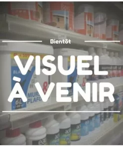 AUTRES Thermometre Flottant En Abs