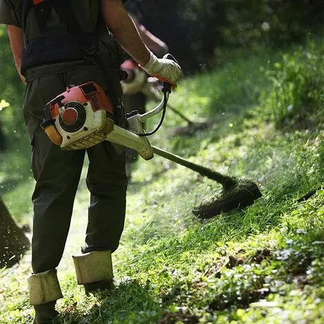 ARC-EN-CIéL Lot De 2 Tête De Débroussailleuse Universelle A6481 Nylon Bobine De Rechange De Tondeuse Débroussailleuse Tête De Coupe M10 X 1,25 Pour Débroussailleuse Thermique à Essence,Arcenciél 7 ARC-EN-CIéL Lot De 2 Tête De Débroussailleuse Universelle A6481 Nylon Bobine De Rechange De Tondeuse Débroussailleuse Tête De Coupe M10 X 1,25 Pour Débroussailleuse Thermique à Essence,Arcenciél – Image 5