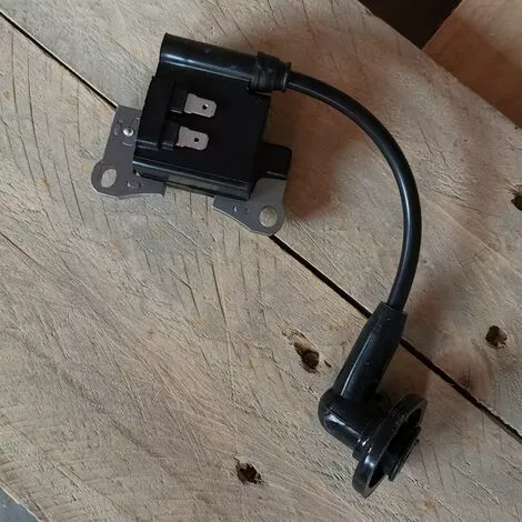 THSINDE Bobine D'allumage, Pack Haute Tension, Allumeur 1E34F-2E 1E34F-2E.3 KASEI TLE26 CG260 BC260 Allumage 3 THSINDE Bobine D'allumage, Pack Haute Tension, Allumeur 1E34F-2E 1E34F-2E.3 KASEI TLE26 CG260 BC260 Allumage