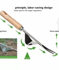 DONTODENT Outil De Jardinage Désherbeur à Main En Acier Inoxydable 2 Stk, Outil De Désherbage Géré Par Extracteur De Mauvaises Herbes Pour Pelouse De Jardin 9 DONTODENT Outil De Jardinage Désherbeur à Main En Acier Inoxydable 2 Stk, Outil De Désherbage Géré Par Extracteur De Mauvaises Herbes Pour Pelouse De Jardin -Débroussailleuse Soldes Magasin 66134062 3