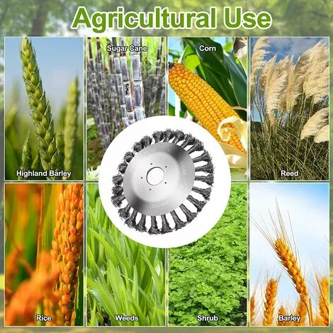 OCXIN Brosse à Désherber, Brosse à Désherber, Brosse à Désherber, Débroussailleuse, Débroussailleuse, Brosse Métallique, Débroussailleuse, Brosse Ronde, Brosse En Acier, Brosse à Joints Pour Un Désherbage Efficace, Tondeuse à Gazon, Tondeuse à Désherber 7 OCXIN Brosse à Désherber, Brosse à Désherber, Brosse à Désherber, Débroussailleuse, Débroussailleuse, Brosse Métallique, Débroussailleuse, Brosse Ronde, Brosse En Acier, Brosse à Joints Pour Un Désherbage Efficace, Tondeuse à Gazon, Tondeuse à Désherber – Image 5