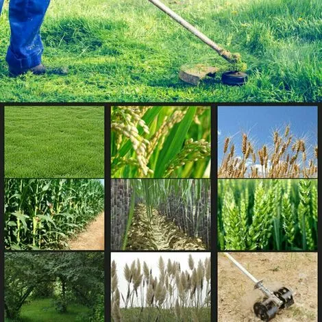 20 Dents 9 Pouces Tondeuse à Gazon Scie Lame D'arbre Frappé Petit Bois De Bambou électrique Désherbeur Accessoires HANBING 7 20 Dents 9 Pouces Tondeuse à Gazon Scie Lame D'arbre Frappé Petit Bois De Bambou électrique Désherbeur Accessoires HANBING – Image 5