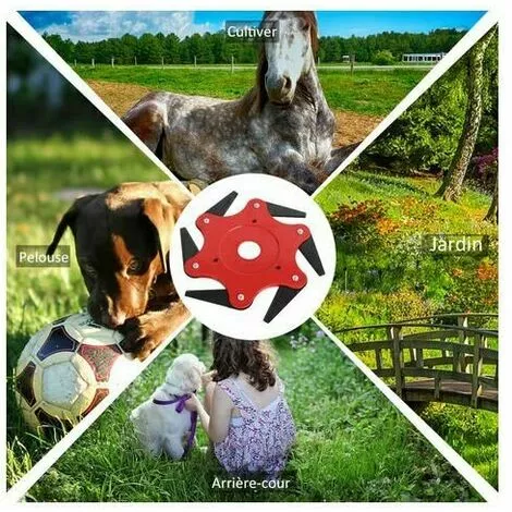 Cisea Tete De Coupe, 6 Dents, Outil De Mangeur D'Herbe 5 Cisea Tete De Coupe, 6 Dents, Outil De Mangeur D'Herbe – Image 3