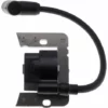 JARDIAFFAIRES Bobine D'allumage Adaptable Pour Moteur Tecumseh Remplace 35135B 2 JARDIAFFAIRES Bobine D'allumage Adaptable Pour Moteur Tecumseh Remplace 35135B -Débroussailleuse Soldes Magasin 9388895 1