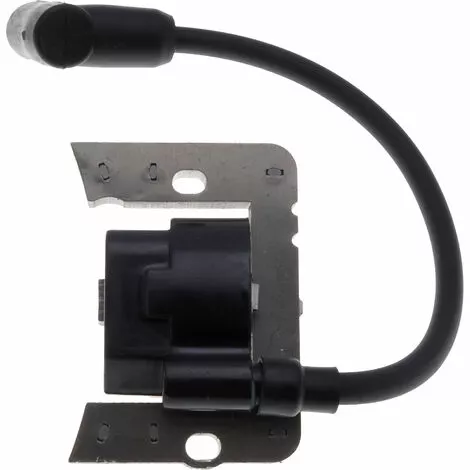 JARDIAFFAIRES Bobine D'allumage Adaptable Pour Moteur Tecumseh Remplace 35135B 3 JARDIAFFAIRES Bobine D'allumage Adaptable Pour Moteur Tecumseh Remplace 35135B